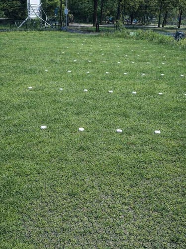 Rasengitter verlegt mit Markierkappen